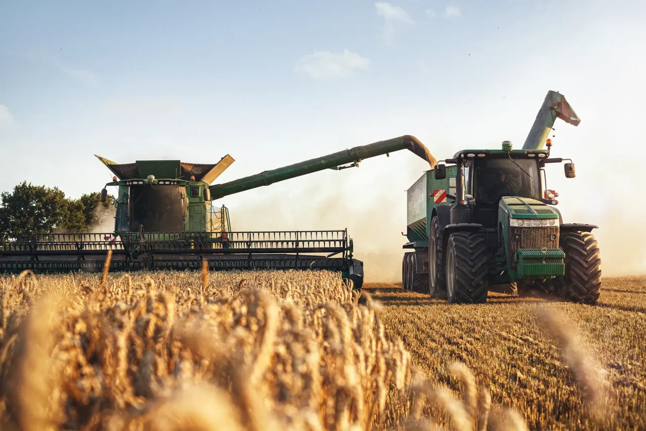 Combine harvester emptying ploughed grains into a trailer pulled by a tractor